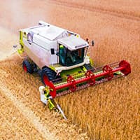 Agriculture